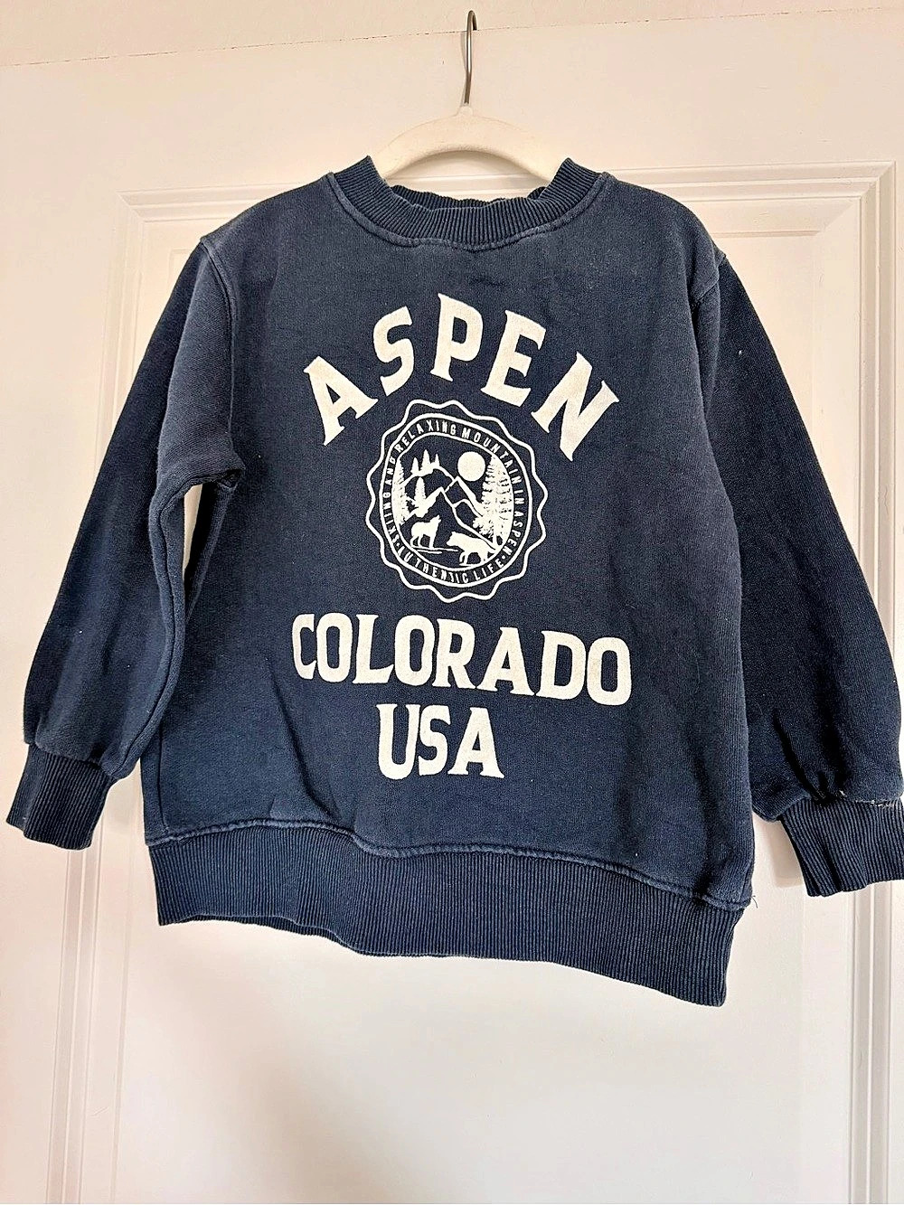 Zara Aspen Colorado USA Graphic Blue Sweatshirt